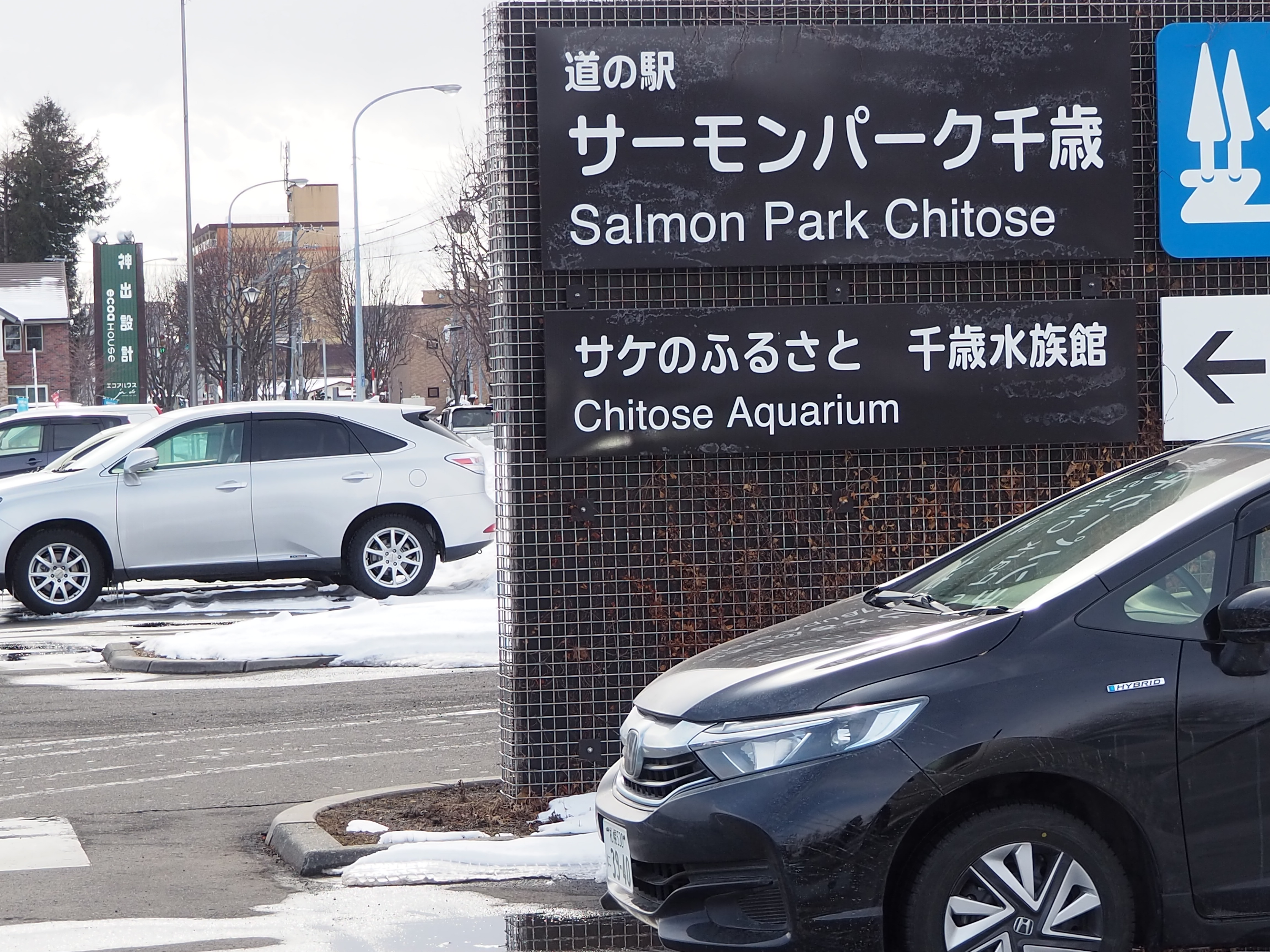 年 北海道旅行 26 会長ブログ 中古車販売ならフリード