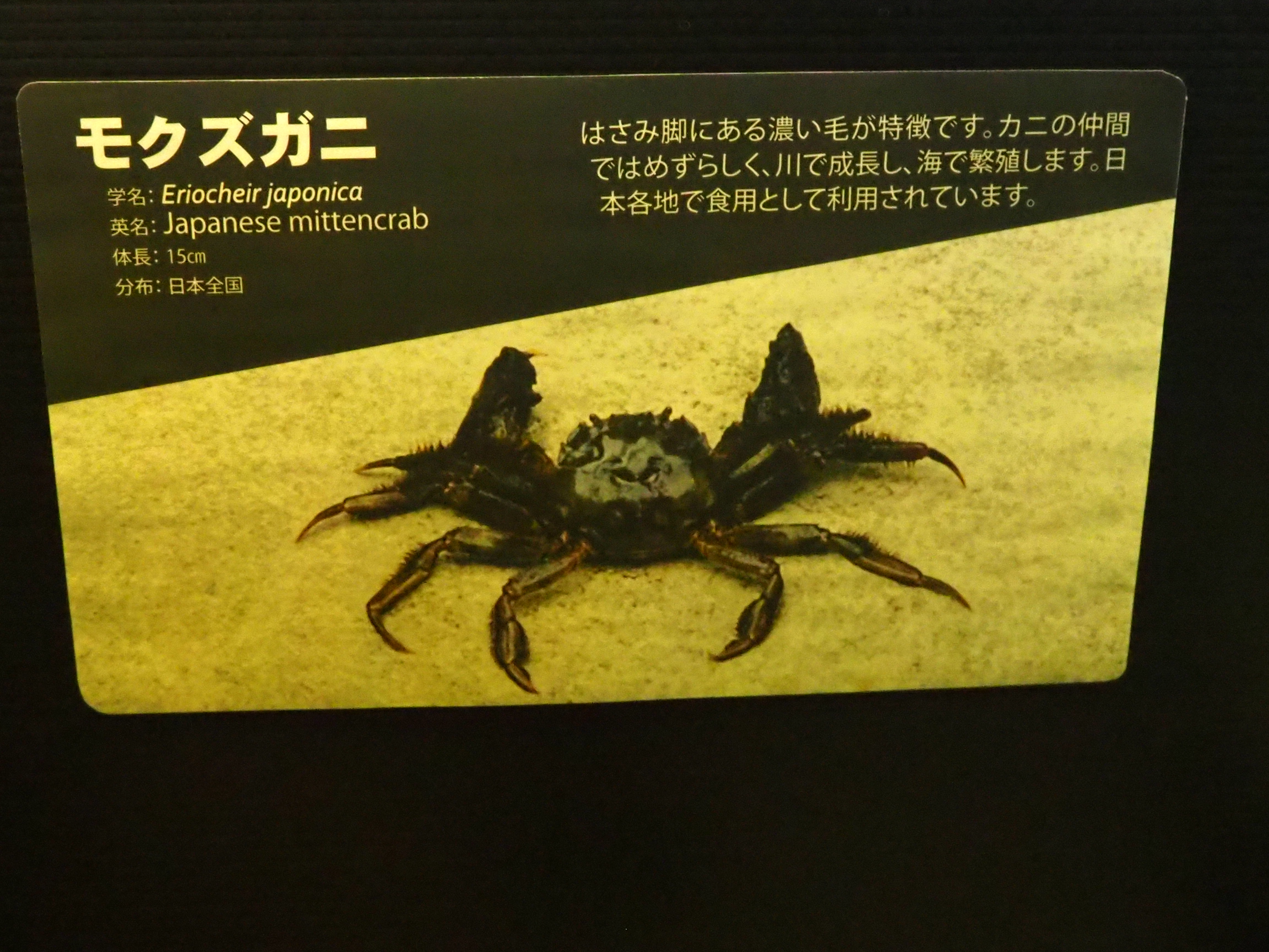年 北海道旅行 27 会長ブログ 中古車販売ならフリード