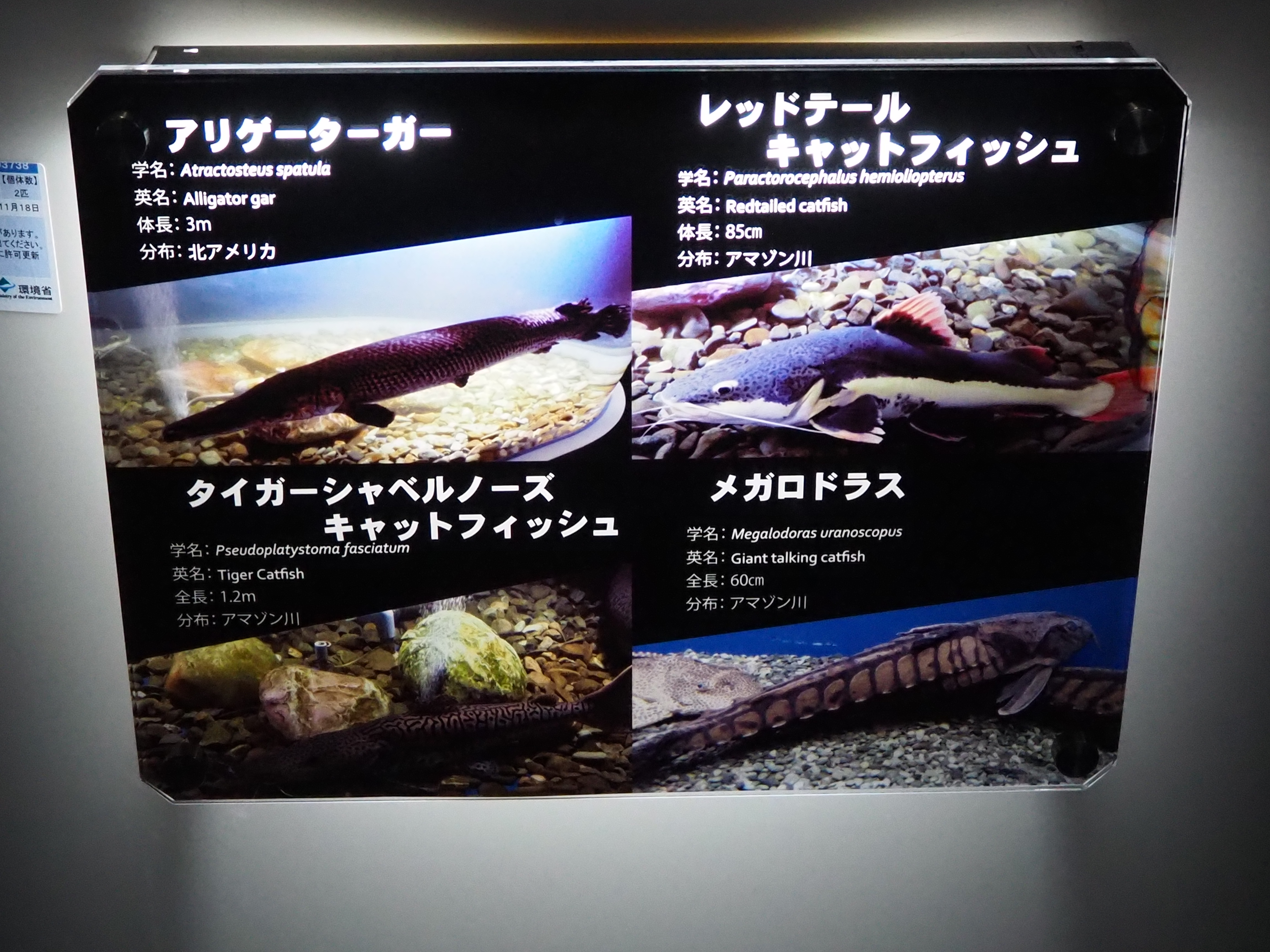 年 北海道旅行 27 会長ブログ 中古車販売ならフリード