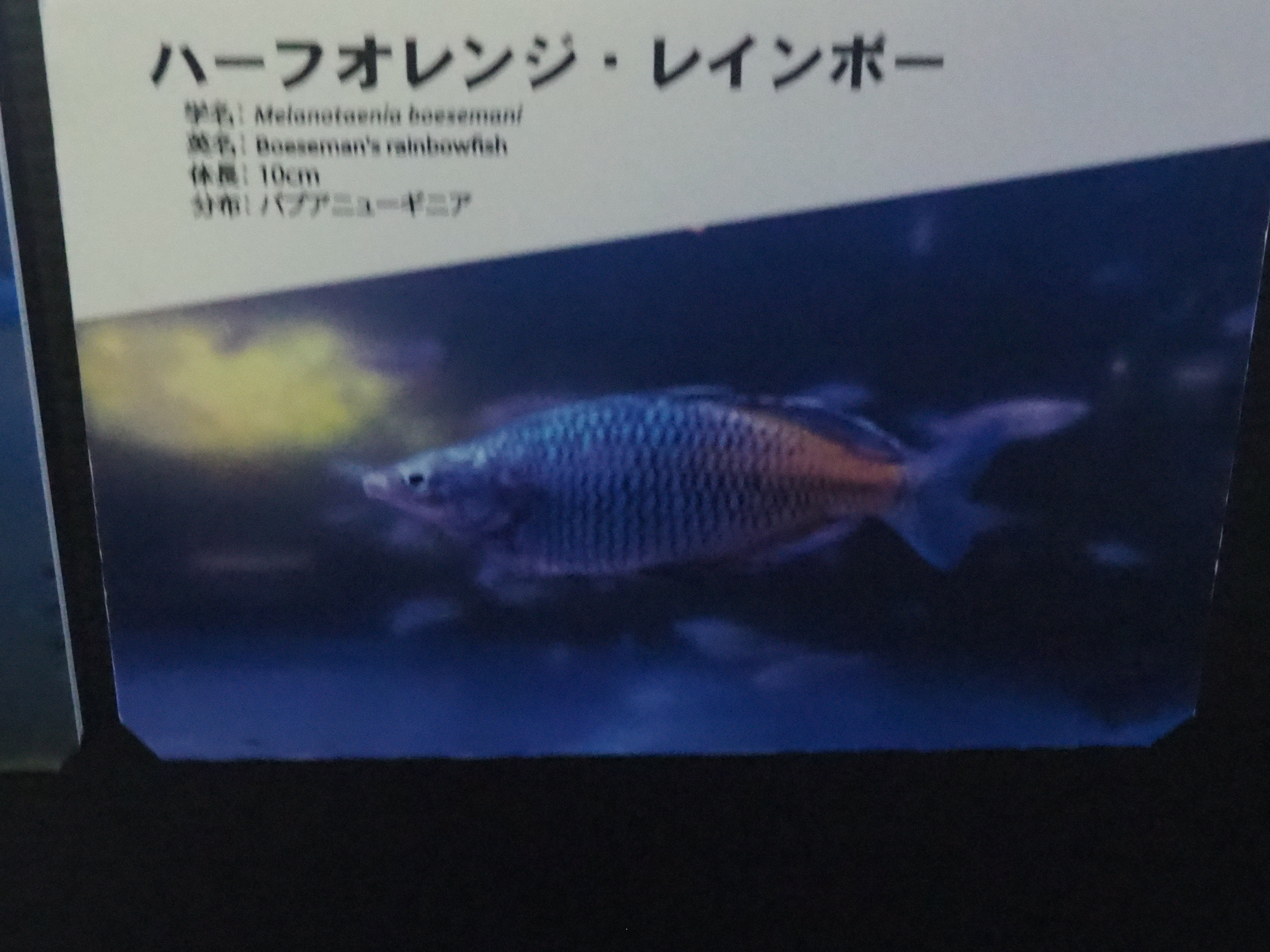 年 北海道旅行 27 会長ブログ 中古車販売ならフリード
