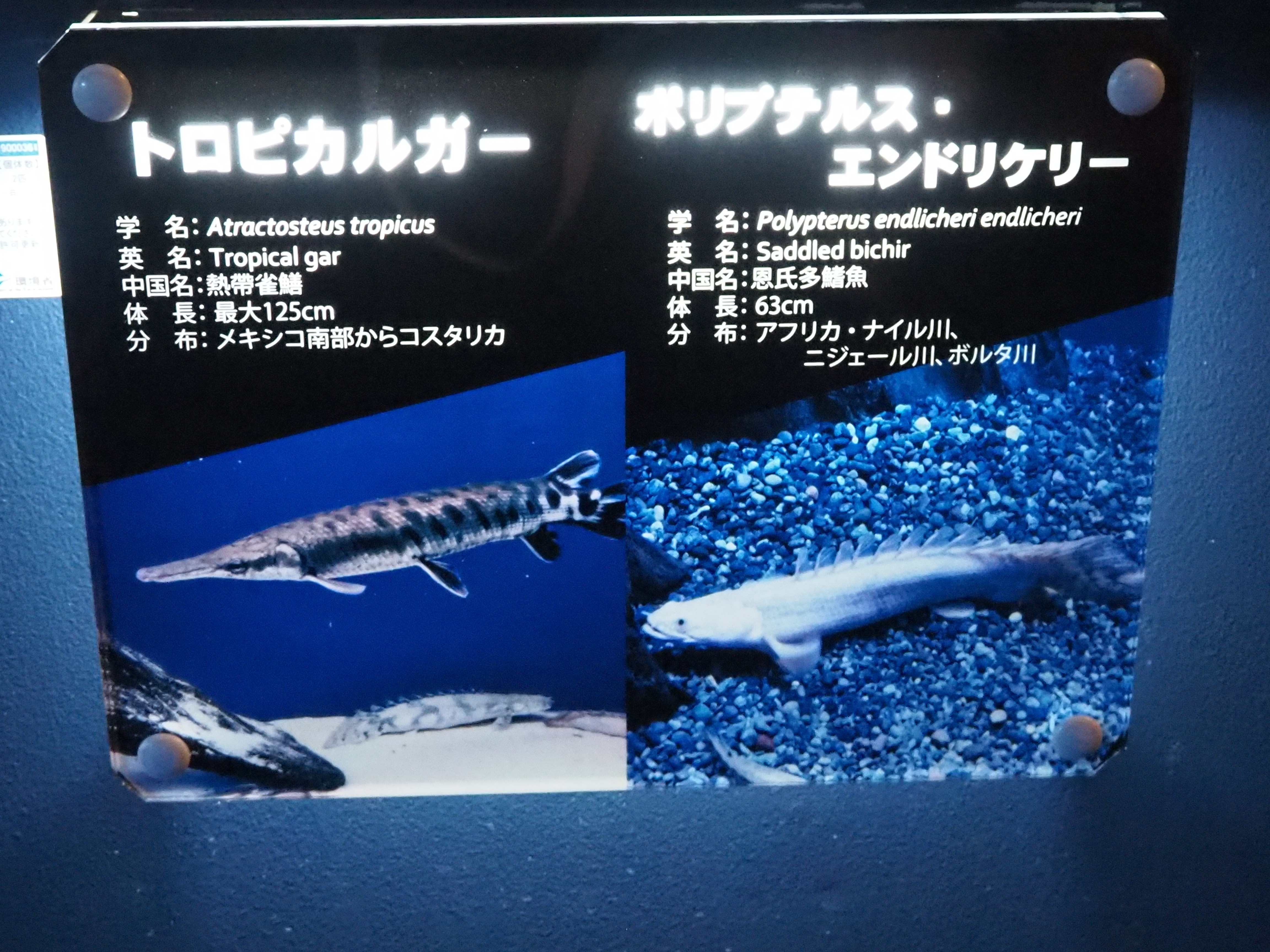 年 北海道旅行 27 会長ブログ 中古車販売ならフリード