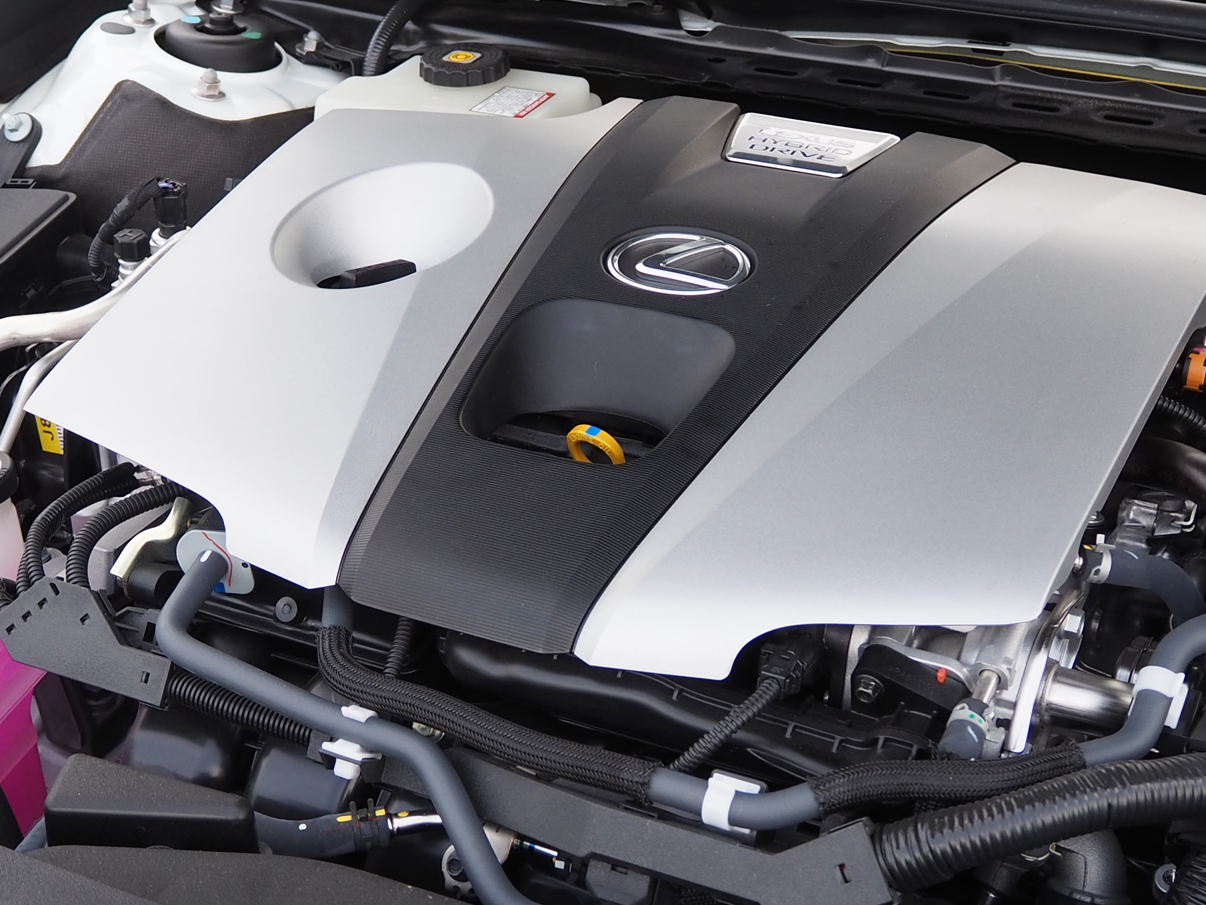 A25A-FXS エンジン化粧カバー 【公式通販】