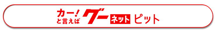 カー！と言えばグー ネット ピット